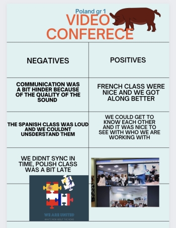 Group 01 article videoconference.png